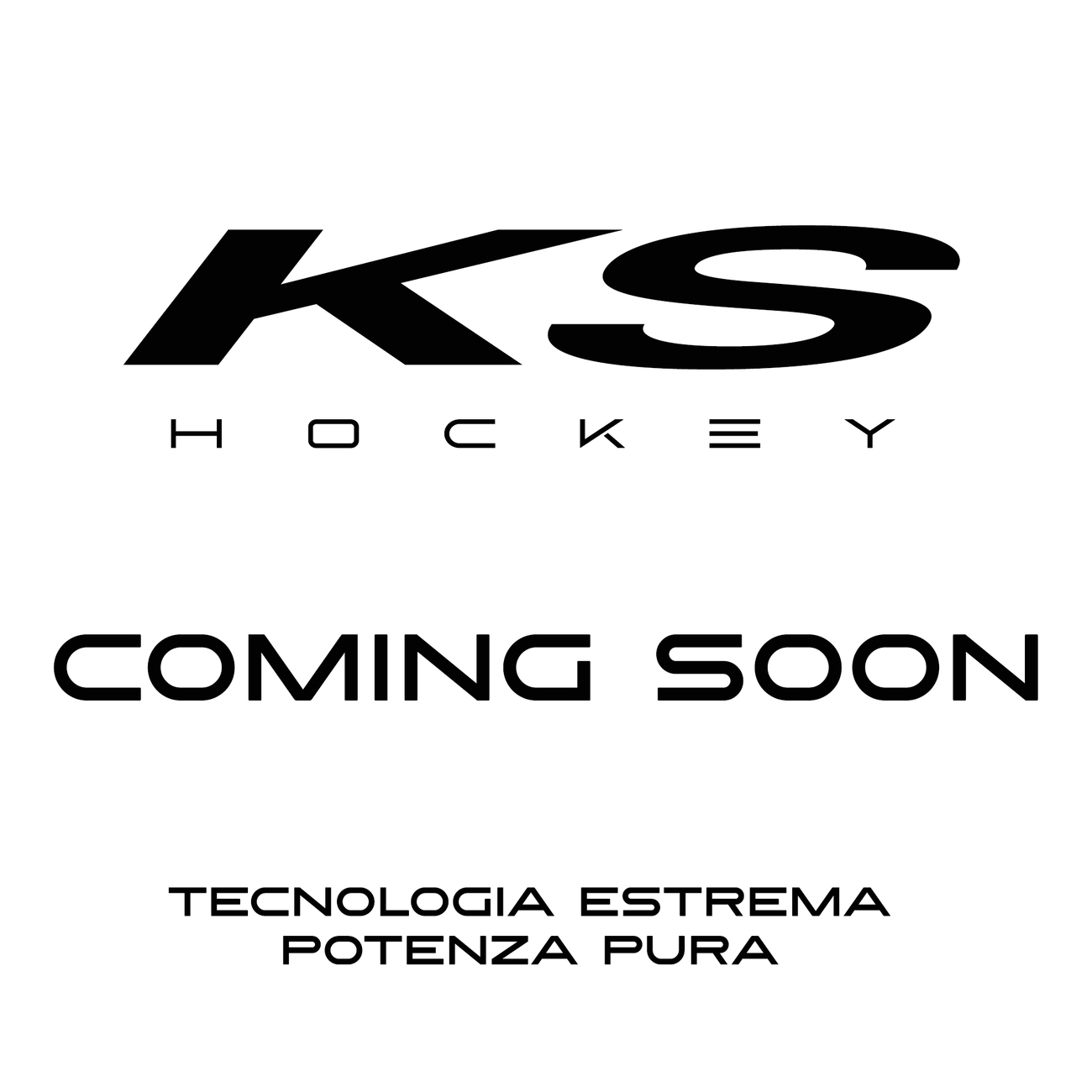 KS Aerogen 10 J - controllo e tecnica